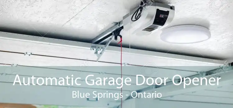 Automatic Garage Door Opener Blue Springs - Ontario