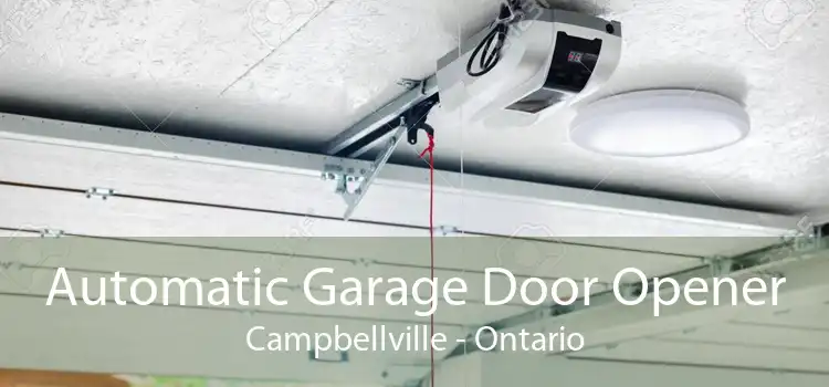 Automatic Garage Door Opener Campbellville - Ontario