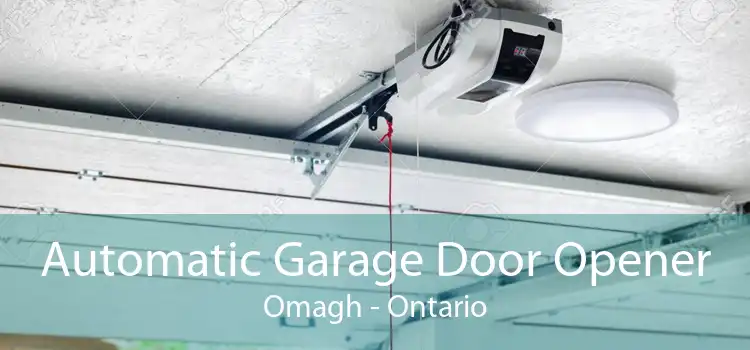 Automatic Garage Door Opener Omagh - Ontario