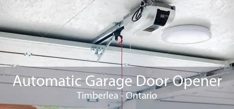 Automatic Garage Door Opener Timberlea - Ontario