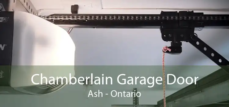 Chamberlain Garage Door Ash - Ontario