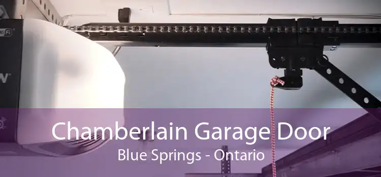 Chamberlain Garage Door Blue Springs - Ontario