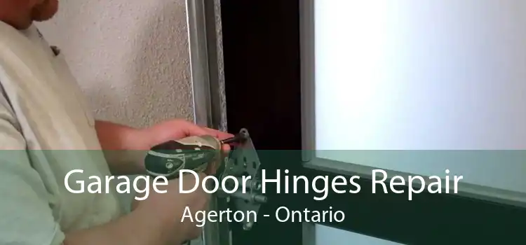 Garage Door Hinges Repair Agerton - Ontario
