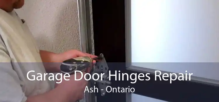 Garage Door Hinges Repair Ash - Ontario
