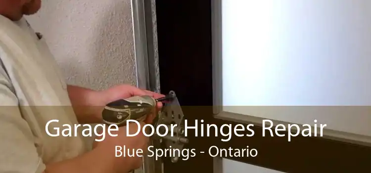 Garage Door Hinges Repair Blue Springs - Ontario