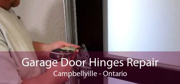 Garage Door Hinges Repair Campbellville - Ontario