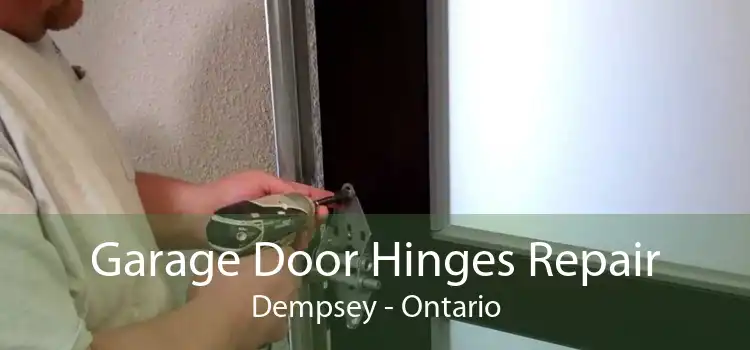 Garage Door Hinges Repair Dempsey - Ontario