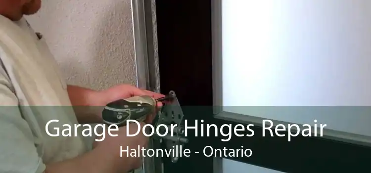 Garage Door Hinges Repair Haltonville - Ontario