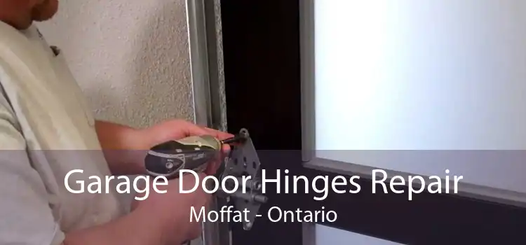 Garage Door Hinges Repair Moffat - Ontario