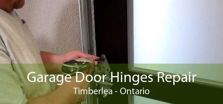 Garage Door Hinges Repair Timberlea - Ontario