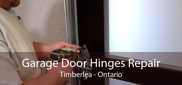 Garage Door Hinges Repair Timberlea - Ontario