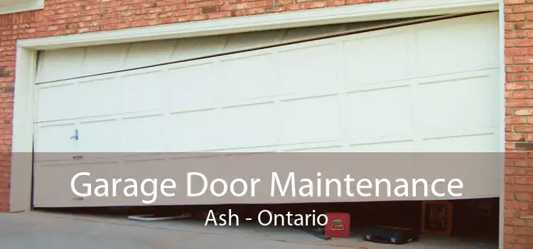 Garage Door Maintenance Ash - Ontario