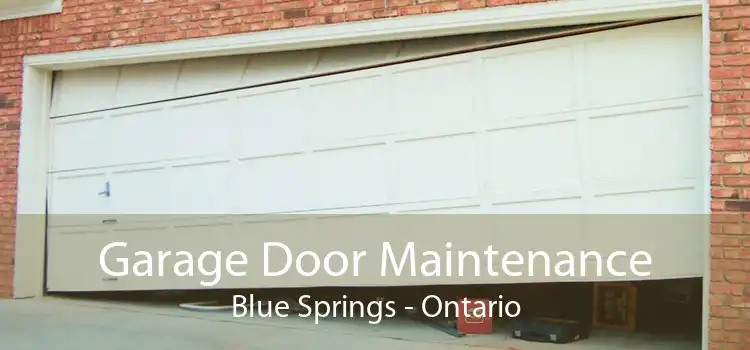 Garage Door Maintenance Blue Springs - Ontario