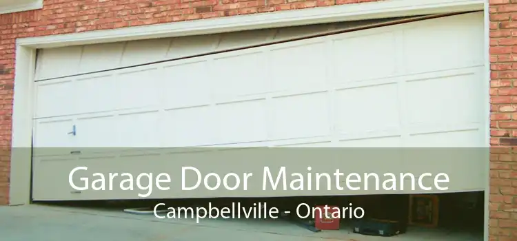 Garage Door Maintenance Campbellville - Ontario