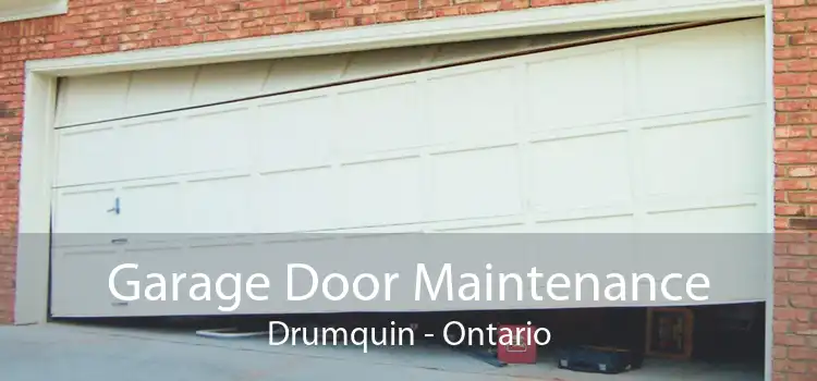Garage Door Maintenance Drumquin - Ontario