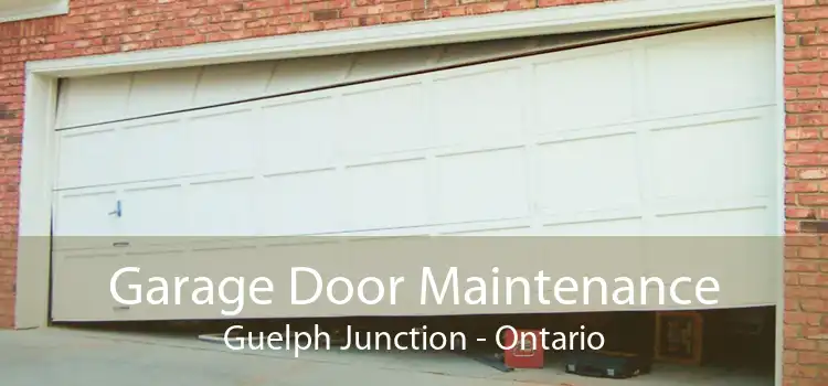 Garage Door Maintenance Guelph Junction - Ontario