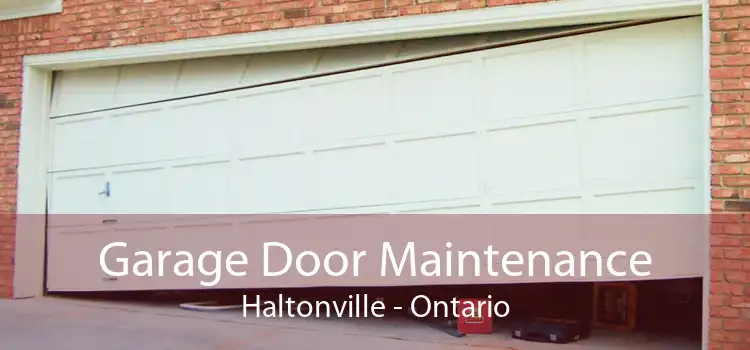 Garage Door Maintenance Haltonville - Ontario