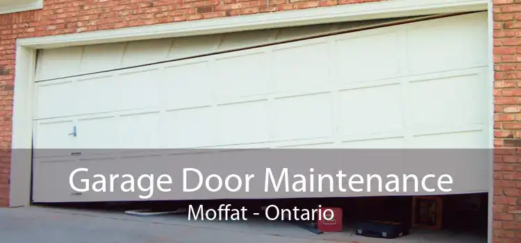 Garage Door Maintenance Moffat - Ontario