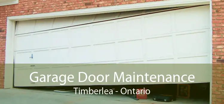 Garage Door Maintenance Timberlea - Ontario
