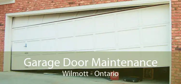 Garage Door Maintenance Wilmott - Ontario