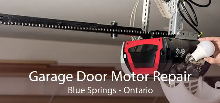 Garage Door Motor Repair Blue Springs - Ontario