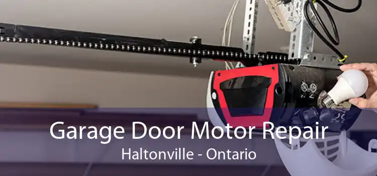 Garage Door Motor Repair Haltonville - Ontario