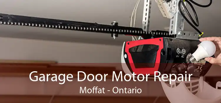 Garage Door Motor Repair Moffat - Ontario