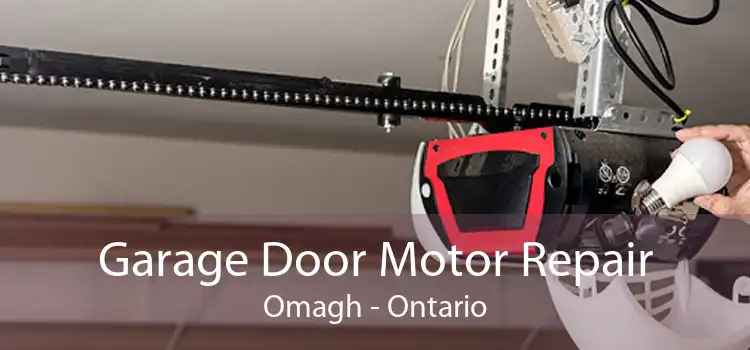 Garage Door Motor Repair Omagh - Ontario