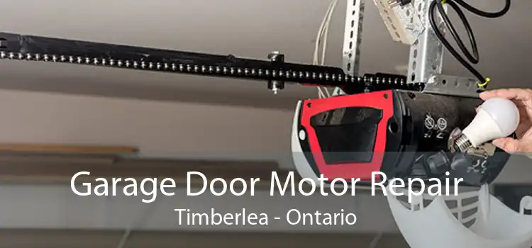 Garage Door Motor Repair Timberlea - Ontario