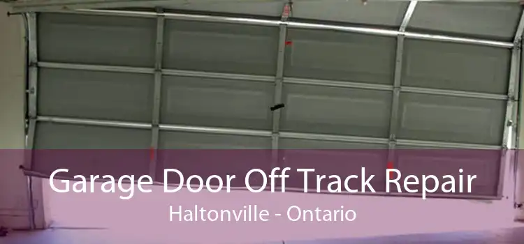 Garage Door Off Track Repair Haltonville - Ontario