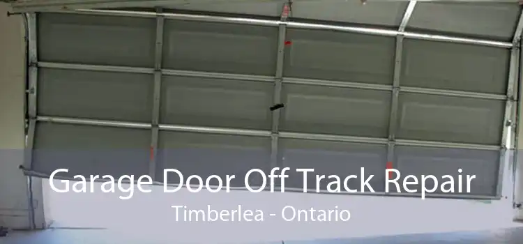 Garage Door Off Track Repair Timberlea - Ontario