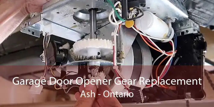 Garage Door Opener Gear Replacement Ash - Ontario
