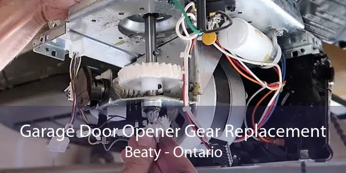 Garage Door Opener Gear Replacement Beaty - Ontario
