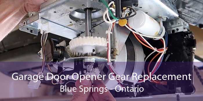 Garage Door Opener Gear Replacement Blue Springs - Ontario