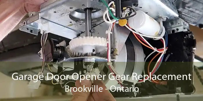 Garage Door Opener Gear Replacement Brookville - Ontario