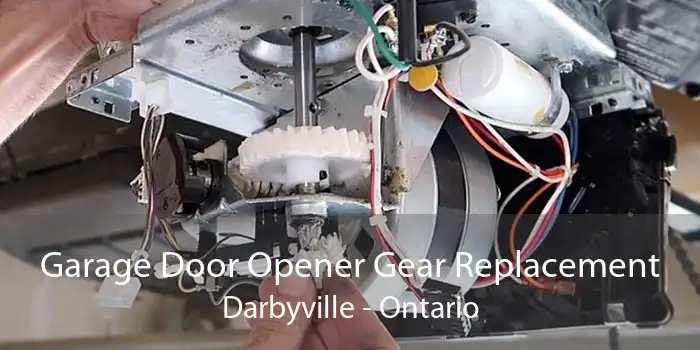 Garage Door Opener Gear Replacement Darbyville - Ontario