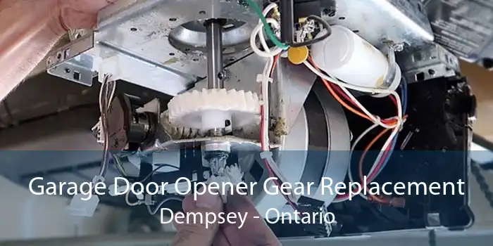 Garage Door Opener Gear Replacement Dempsey - Ontario