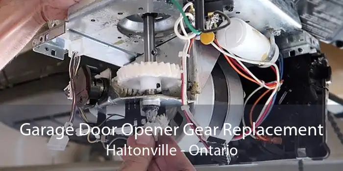 Garage Door Opener Gear Replacement Haltonville - Ontario