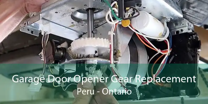 Garage Door Opener Gear Replacement Peru - Ontario