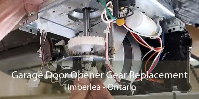 Garage Door Opener Gear Replacement Timberlea - Ontario