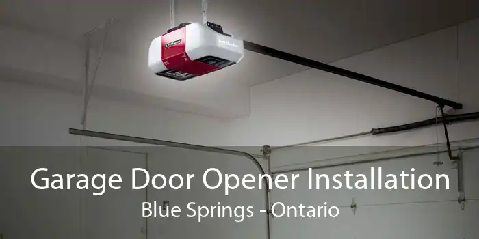 Garage Door Opener Installation Blue Springs - Ontario