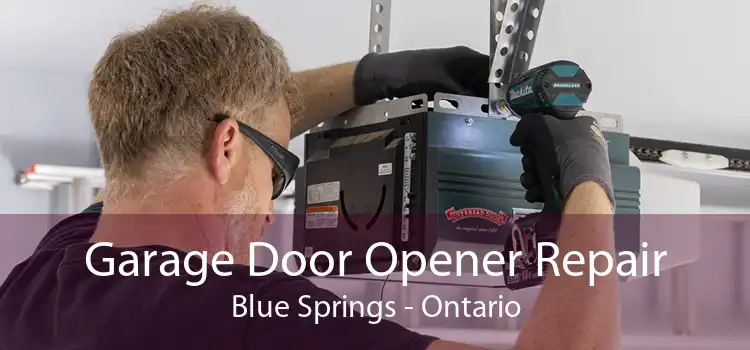 Garage Door Opener Repair Blue Springs - Ontario