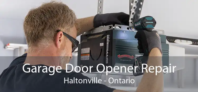 Garage Door Opener Repair Haltonville - Ontario