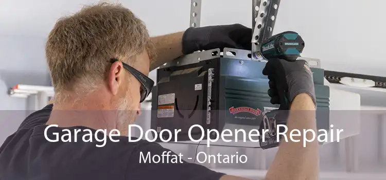 Garage Door Opener Repair Moffat - Ontario