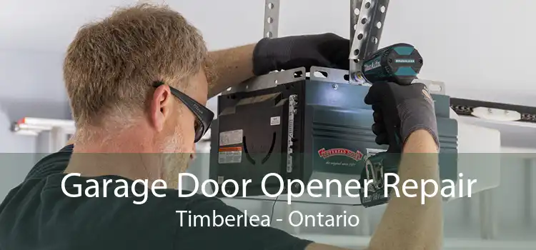 Garage Door Opener Repair Timberlea - Ontario