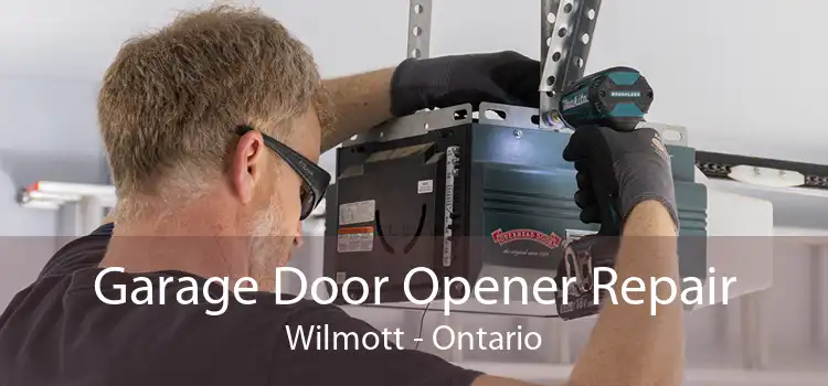 Garage Door Opener Repair Wilmott - Ontario