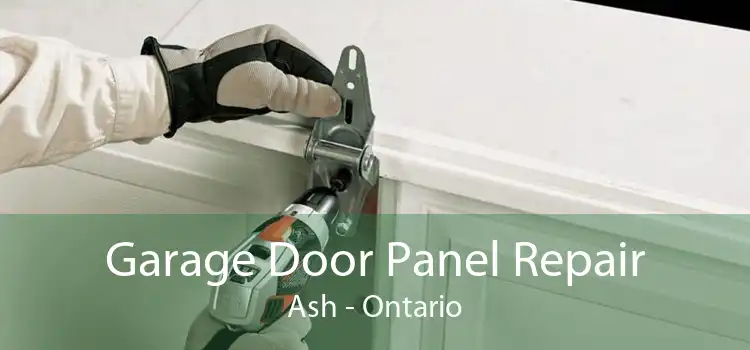 Garage Door Panel Repair Ash - Ontario