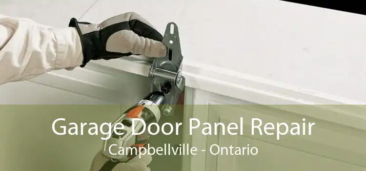 Garage Door Panel Repair Campbellville - Ontario