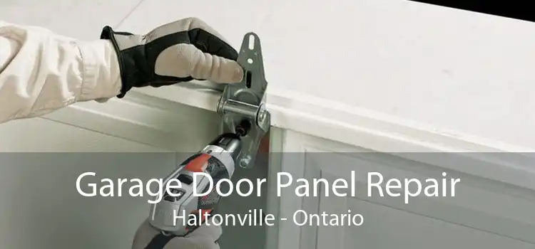 Garage Door Panel Repair Haltonville - Ontario