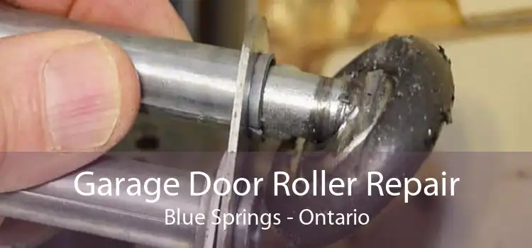Garage Door Roller Repair Blue Springs - Ontario